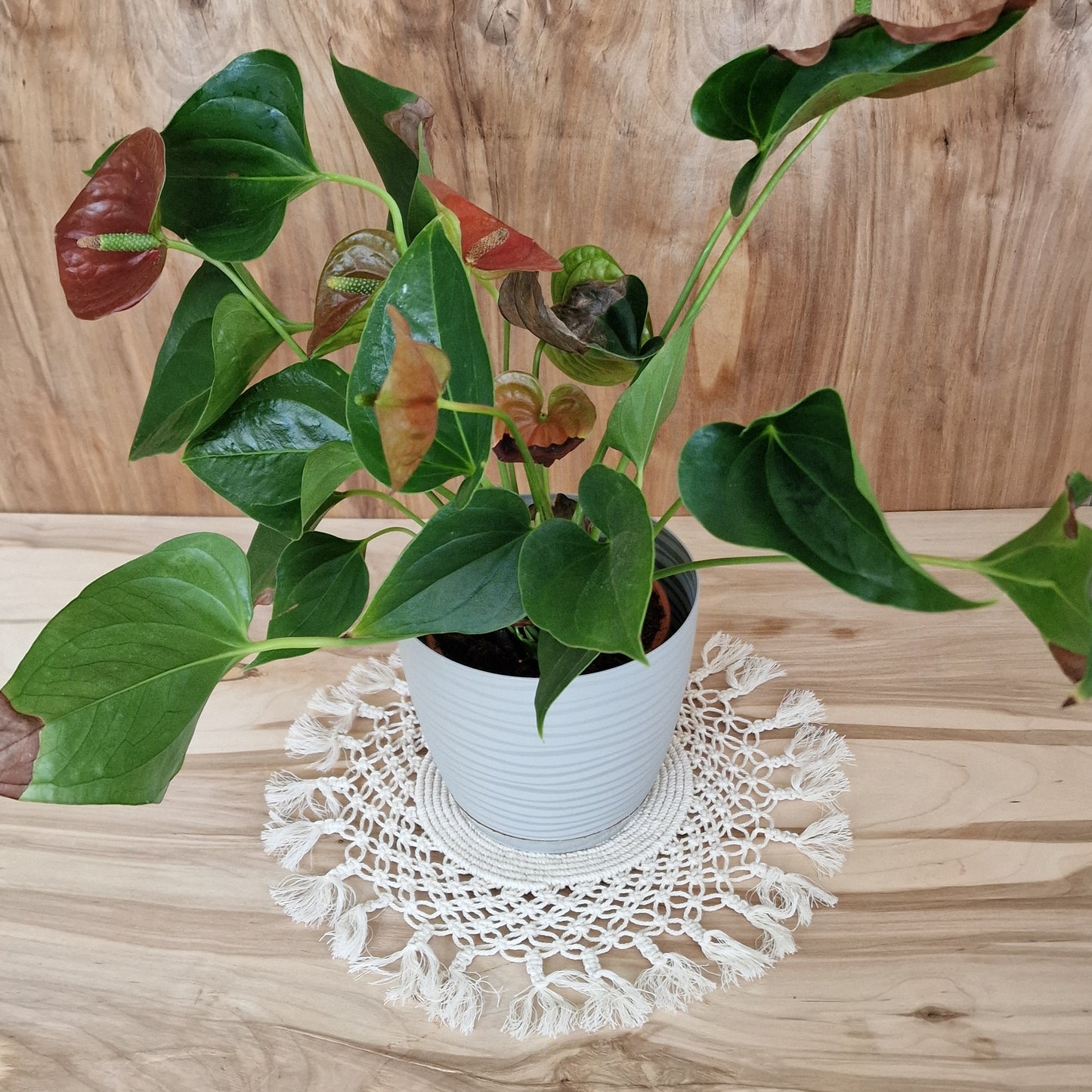 Galda sedziņa makramē tehnikā (ANBL 9) - www.tiptip.lv