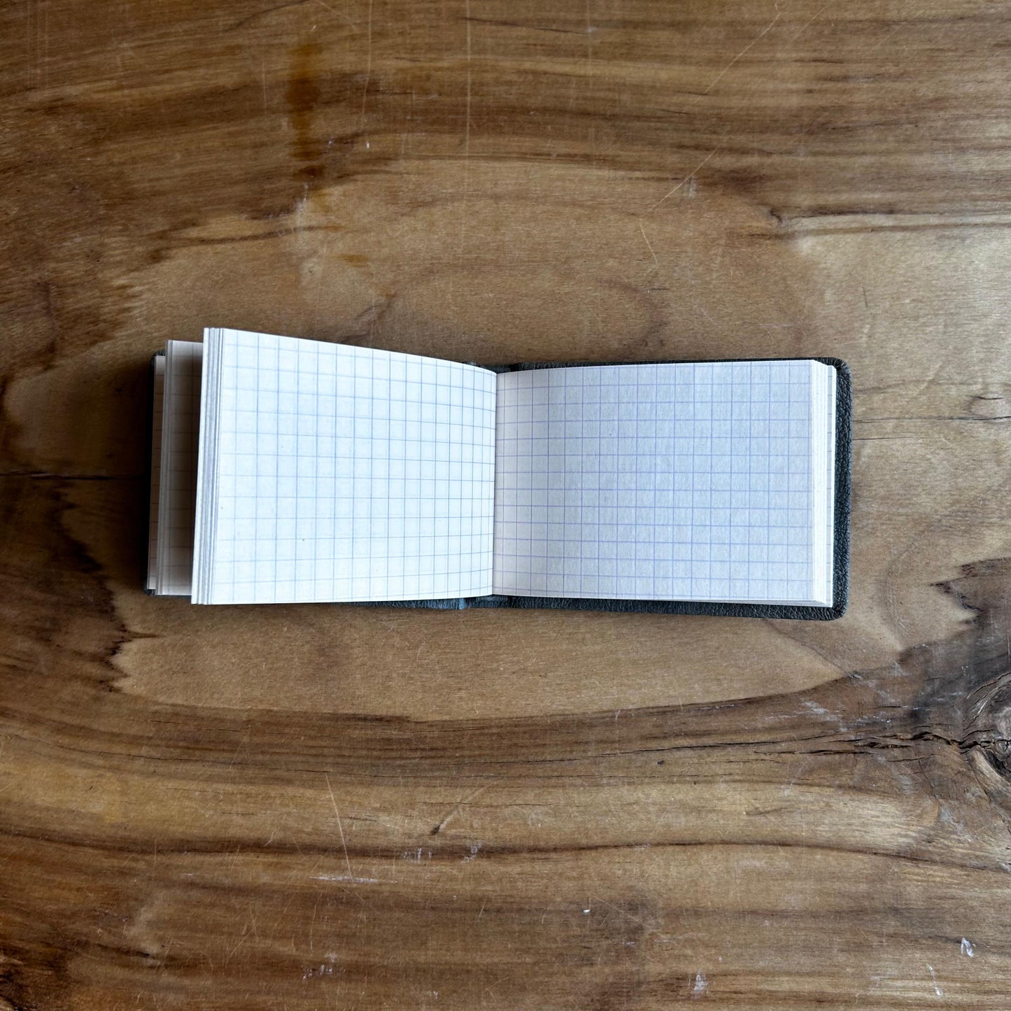 Bloknots ar rūtiņu lapām zilganas krāsas ādas ievākojumā (MAPL 44)