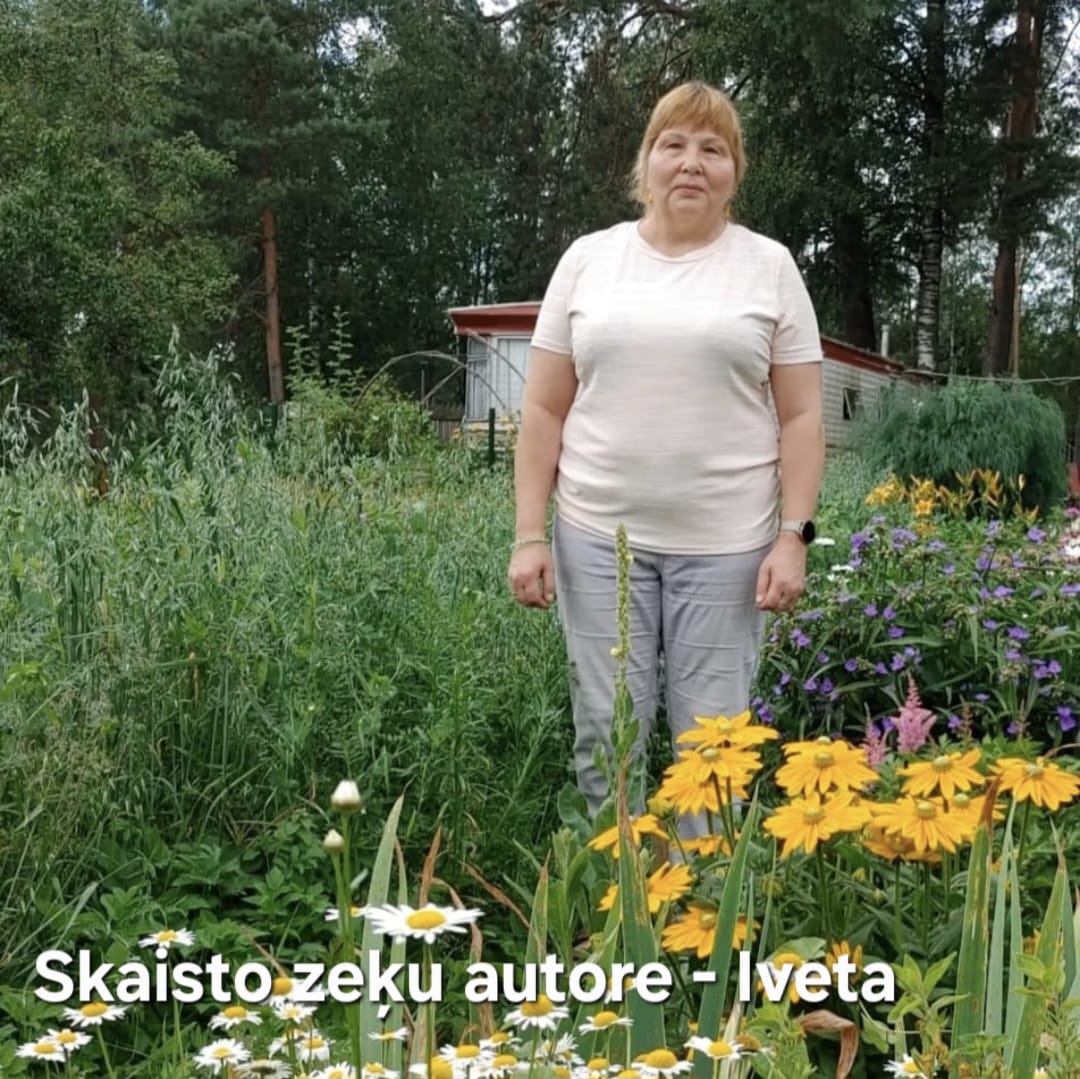 Zili zaļi rozgani brūnu toņu vilnas zeķes 44.-46.izm. (IVZA 24) - www.tiptip.lv