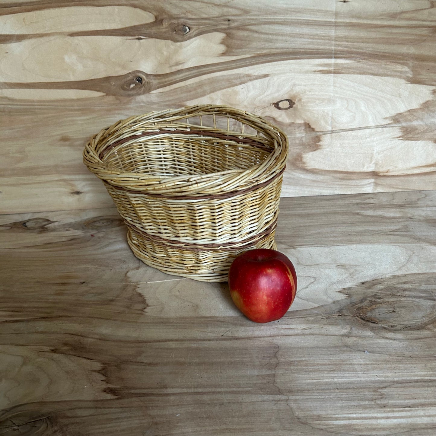 Mizotu klūgu grozs (SALA 193)