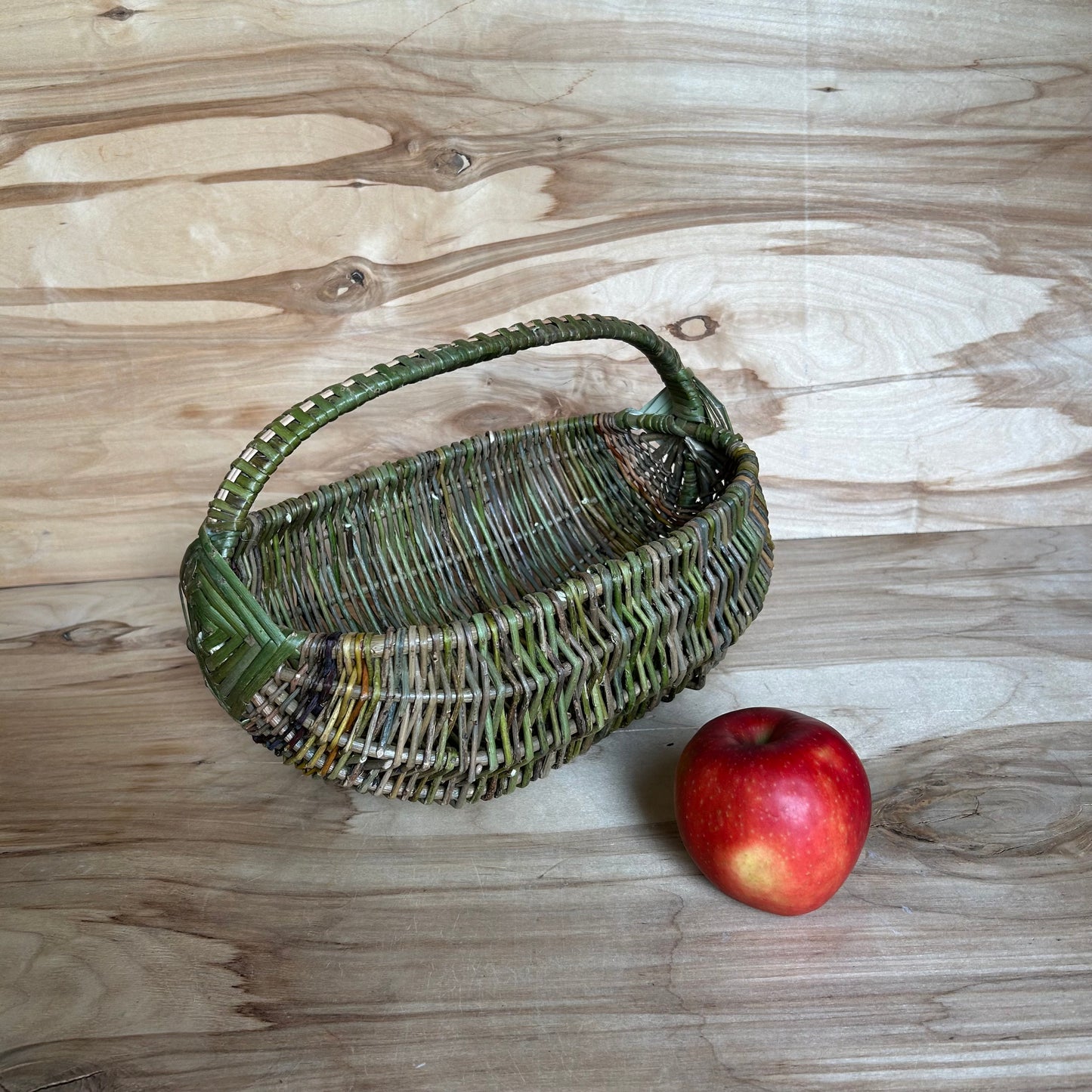 Nemizotu klūgu grozs vidēja izmēra (SALA 190)