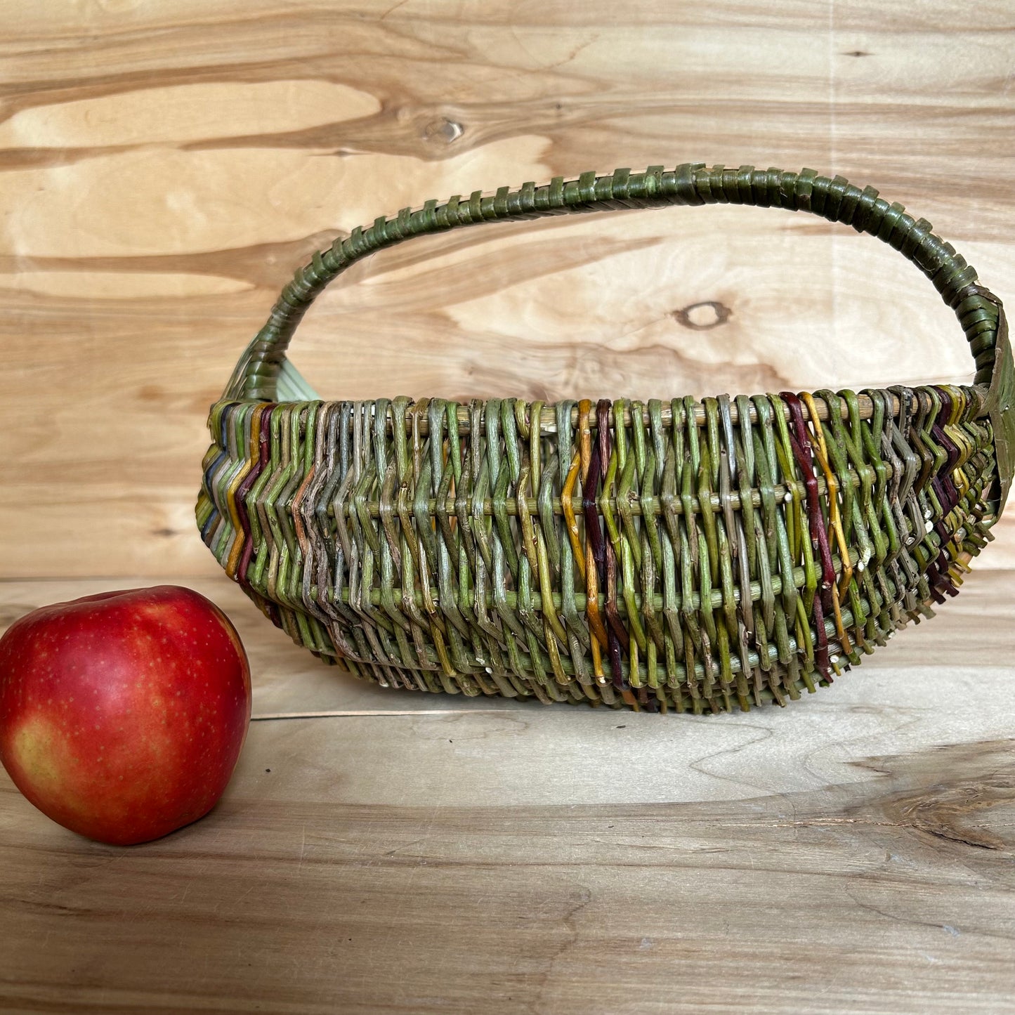 Vidēja lieluma nemizotu klūgu grozs (SALA 186)