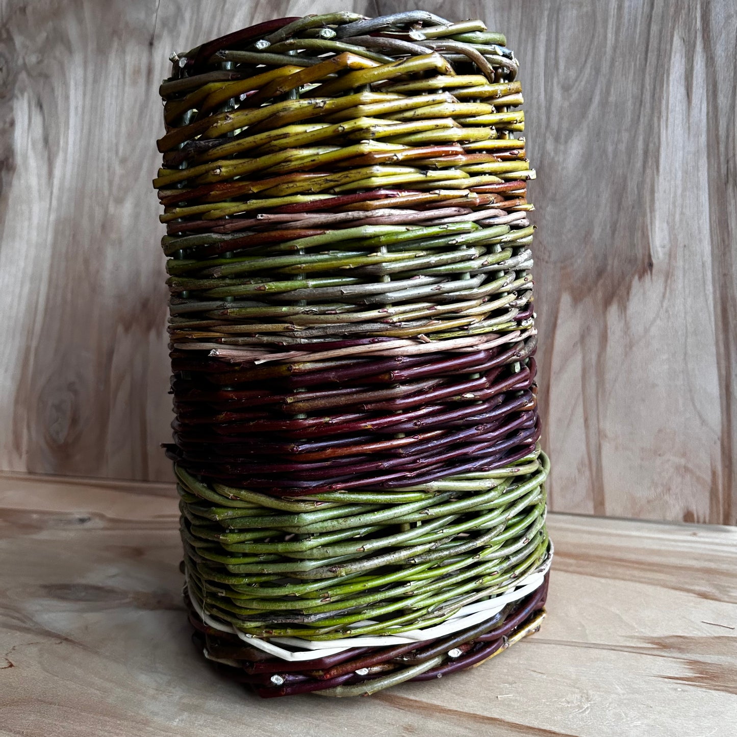 Pīts klūgu tunelis jūrascūciņām (SALA 198)