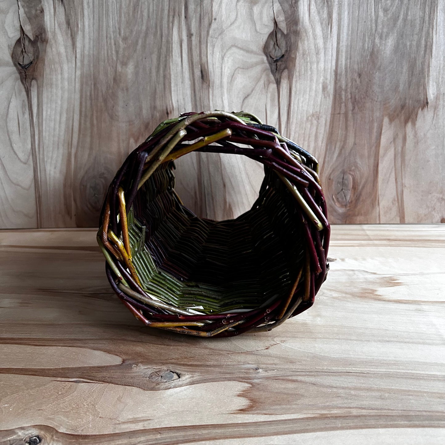 Pīts klūgu tunelis jūrascūciņām (SALA 198)