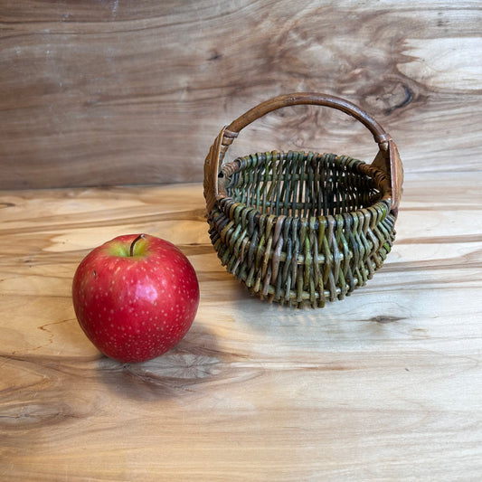 Nemizotu klūgu groziņš  (SALA 206)