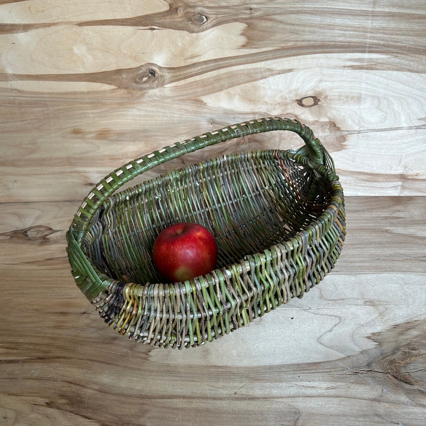 Nemizotu klūgu grozs vidēja izmēra (SALA 190)