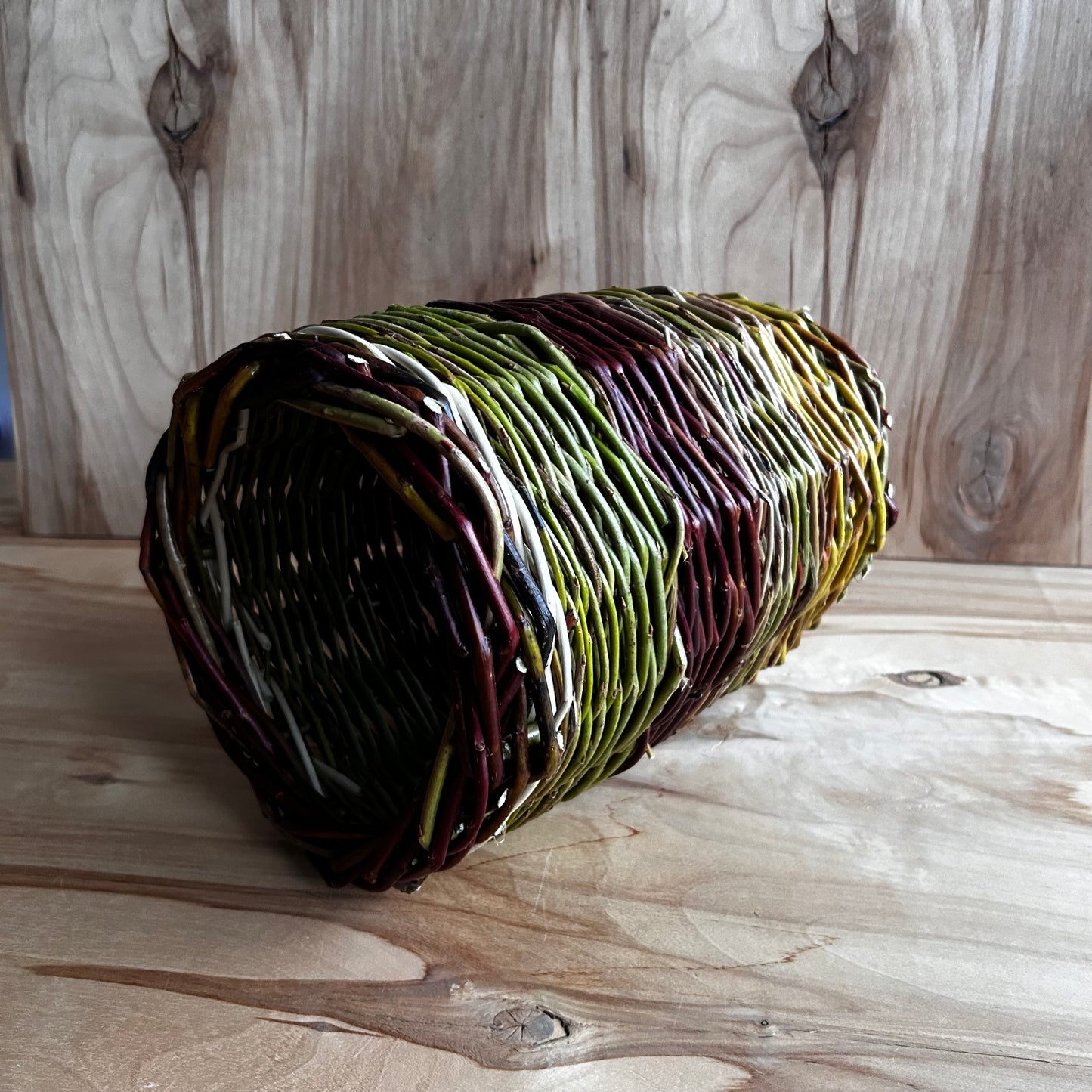 Pīts klūgu tunelis jūrascūciņām (SALA 198)