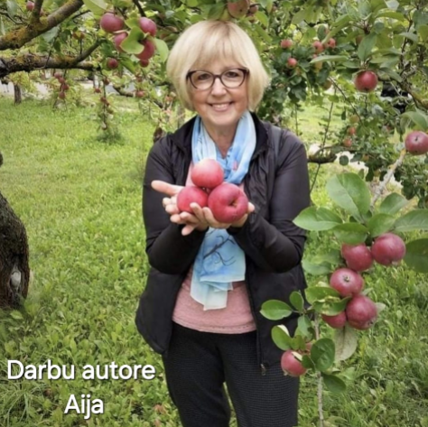 Tamborēta rotaļlieta - pelēks zaķis ar zilu krekliņu (AIPU 61)