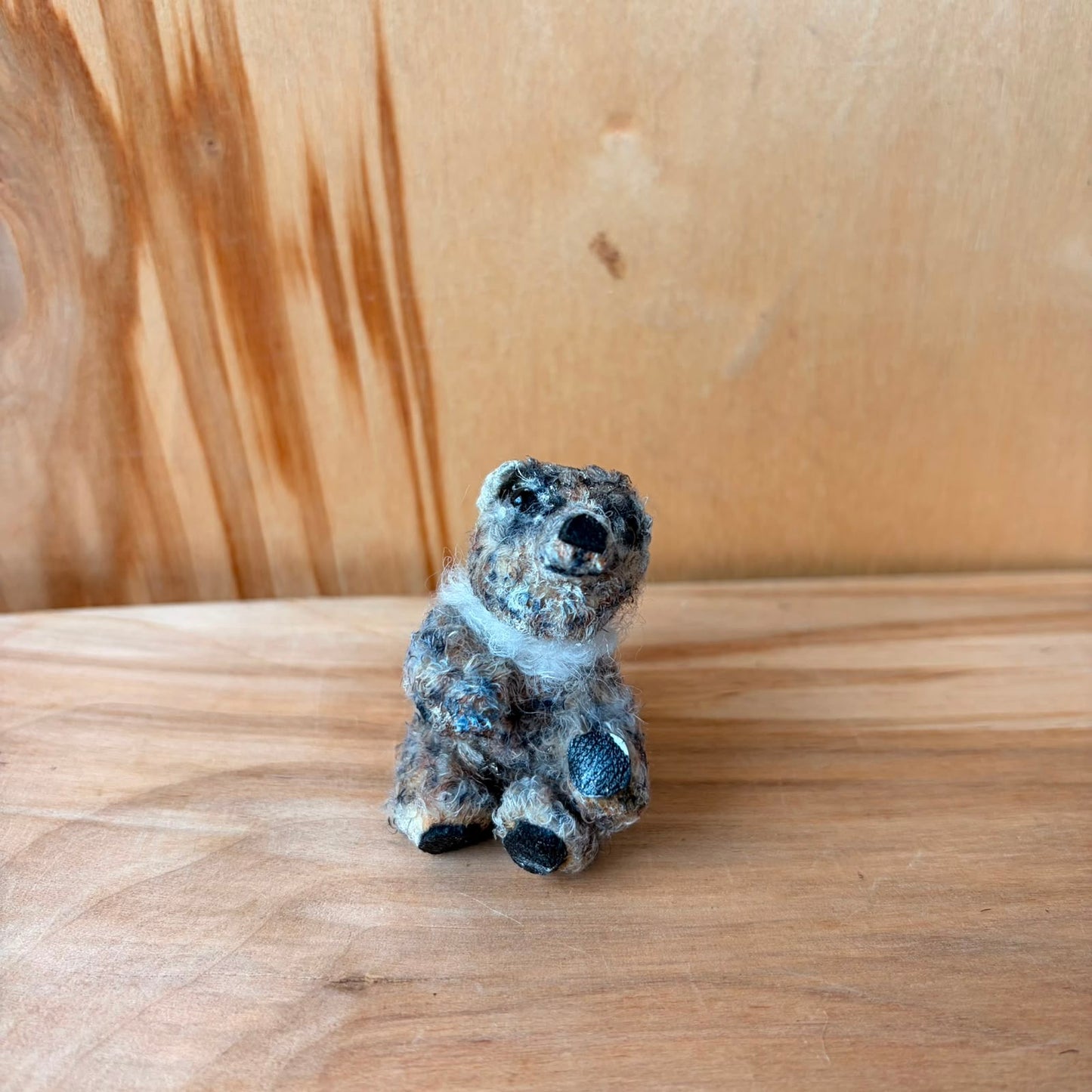 Miniatūrs dzīvnieciņš  (LIPA 12)