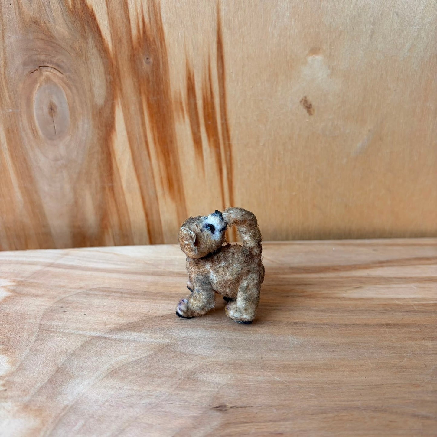 Miniatūrs dzīvnieciņš  (LIPA 11)