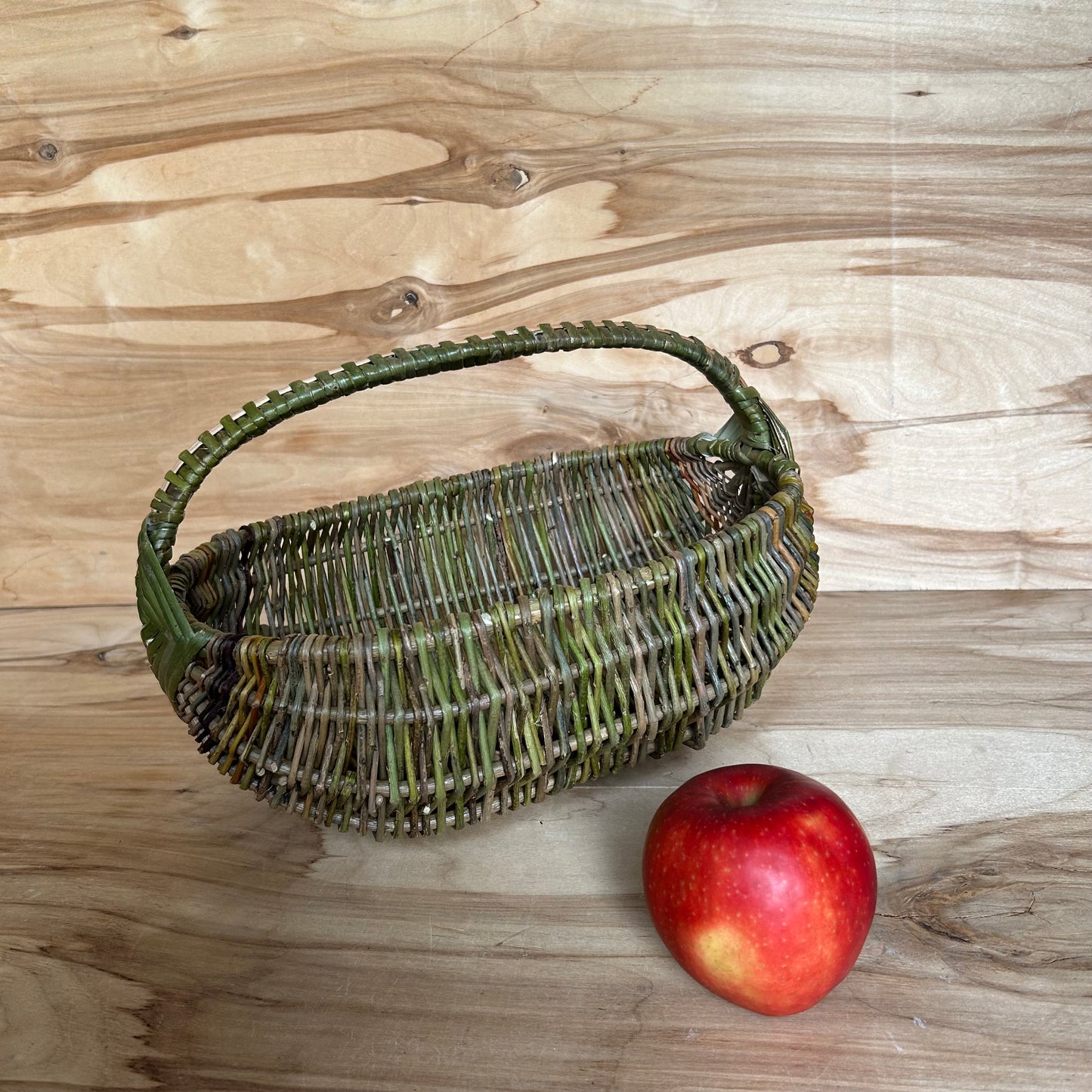 Nemizotu klūgu grozs vidēja izmēra (SALA 190)