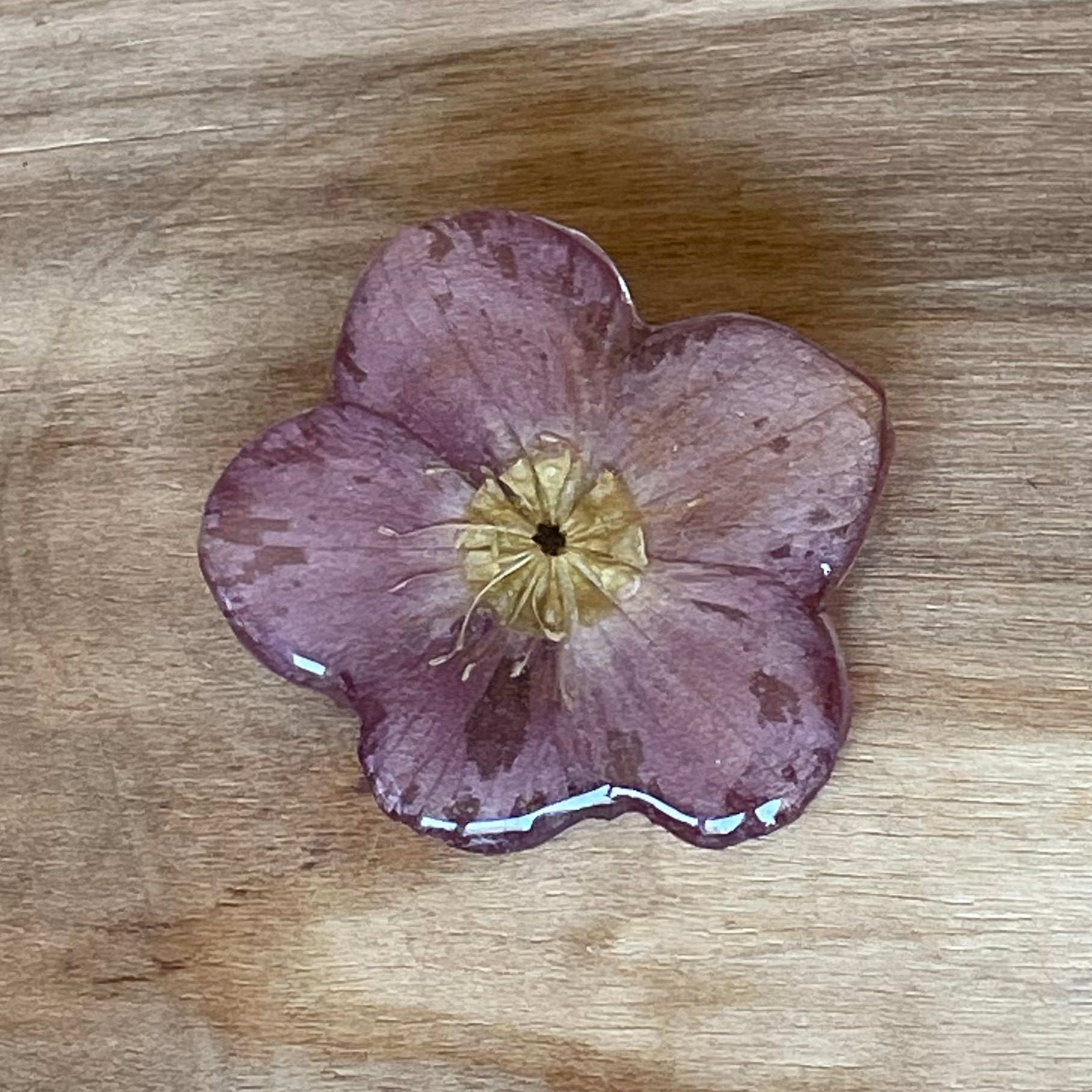 Dabīga zieda piespraude (DAMI 43) - www.tiptip.lv 