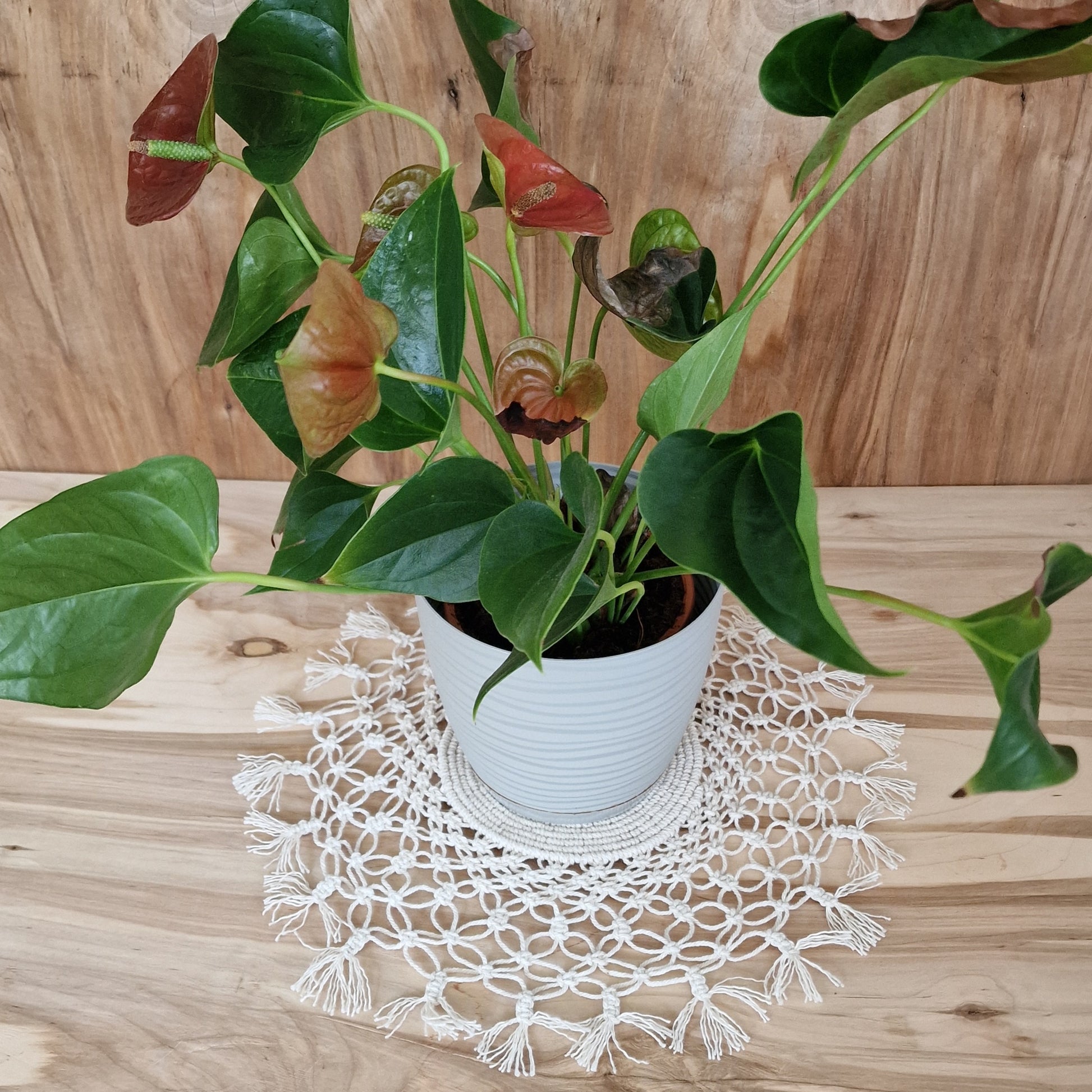 Galda sedziņa makramē tehnikā (ANBL 10) - www.tiptip.lv 