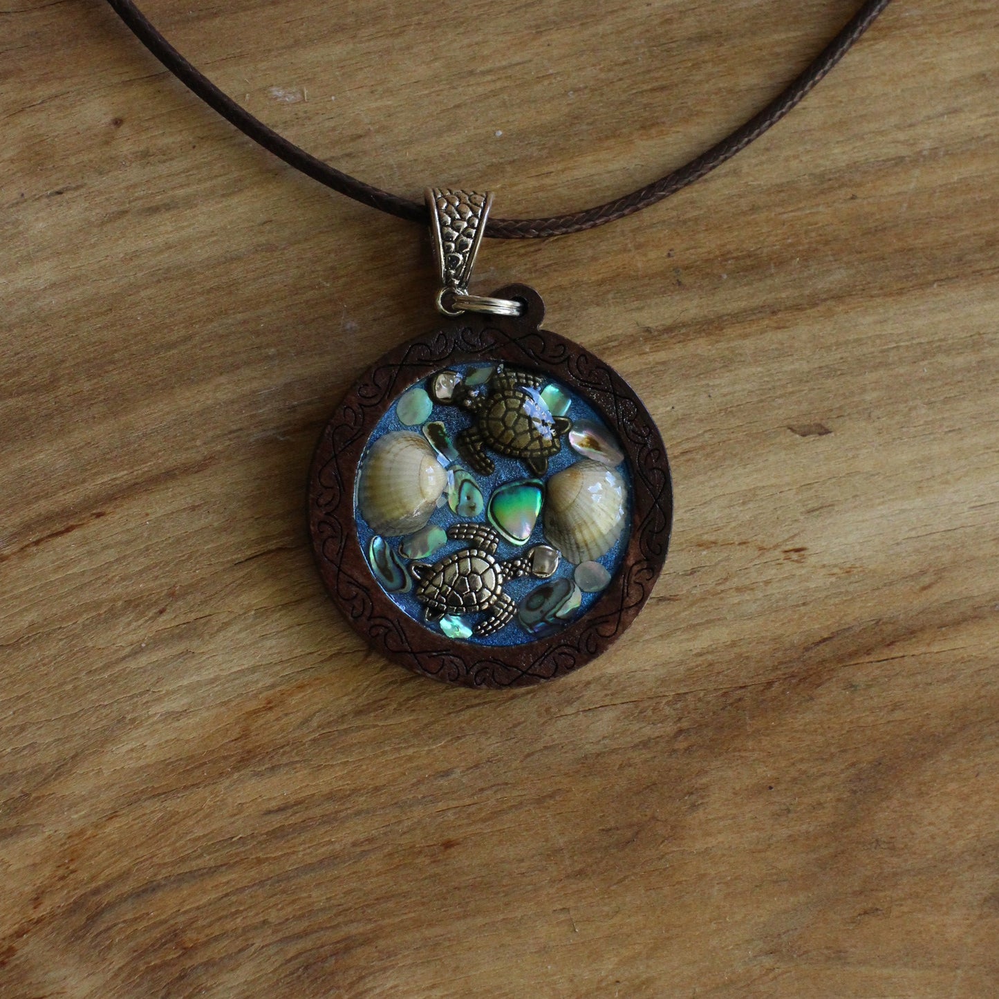 Kaklarota ar gliemežvākiem (INBA 27)