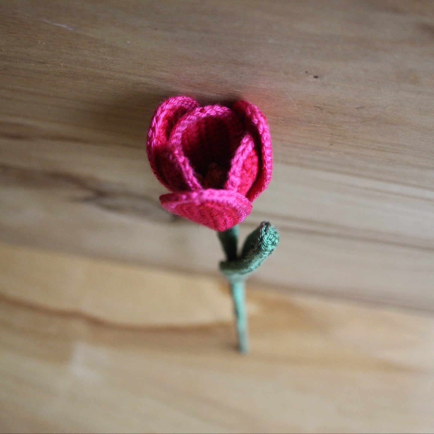 Tamborēta rozā tulpe  (INBA 20)