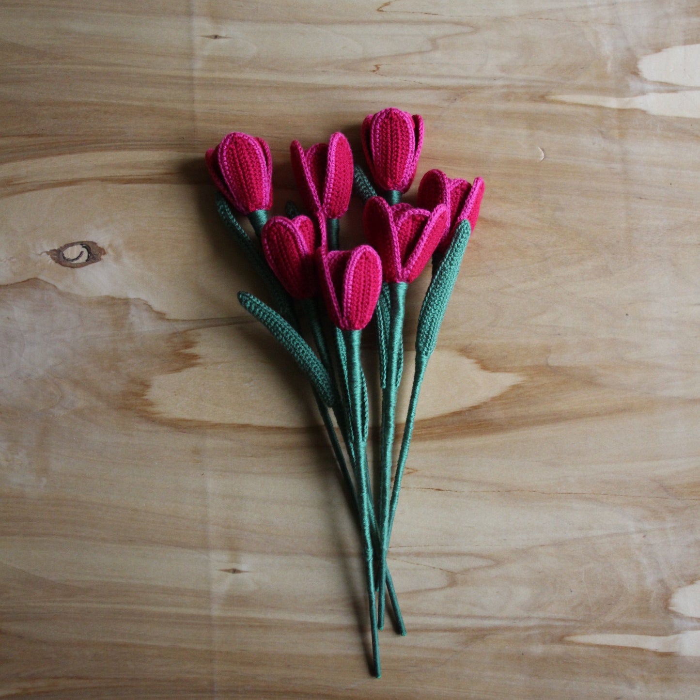 Tamborēta rozā tulpe  (INBA 20)