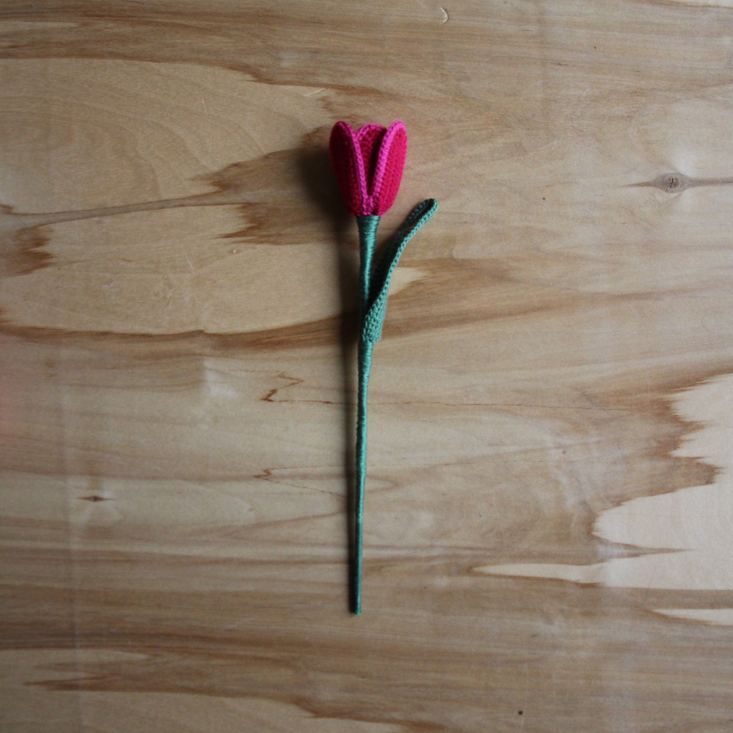 Tamborēta rozā tulpe  (INBA 20)