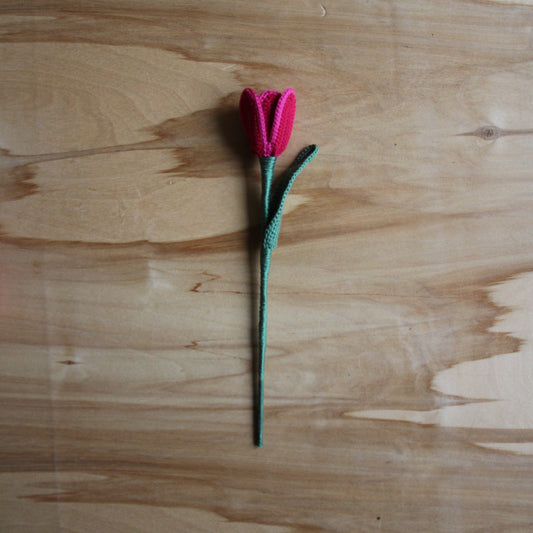 Tamborēta rozā tulpe  (INBA 20)