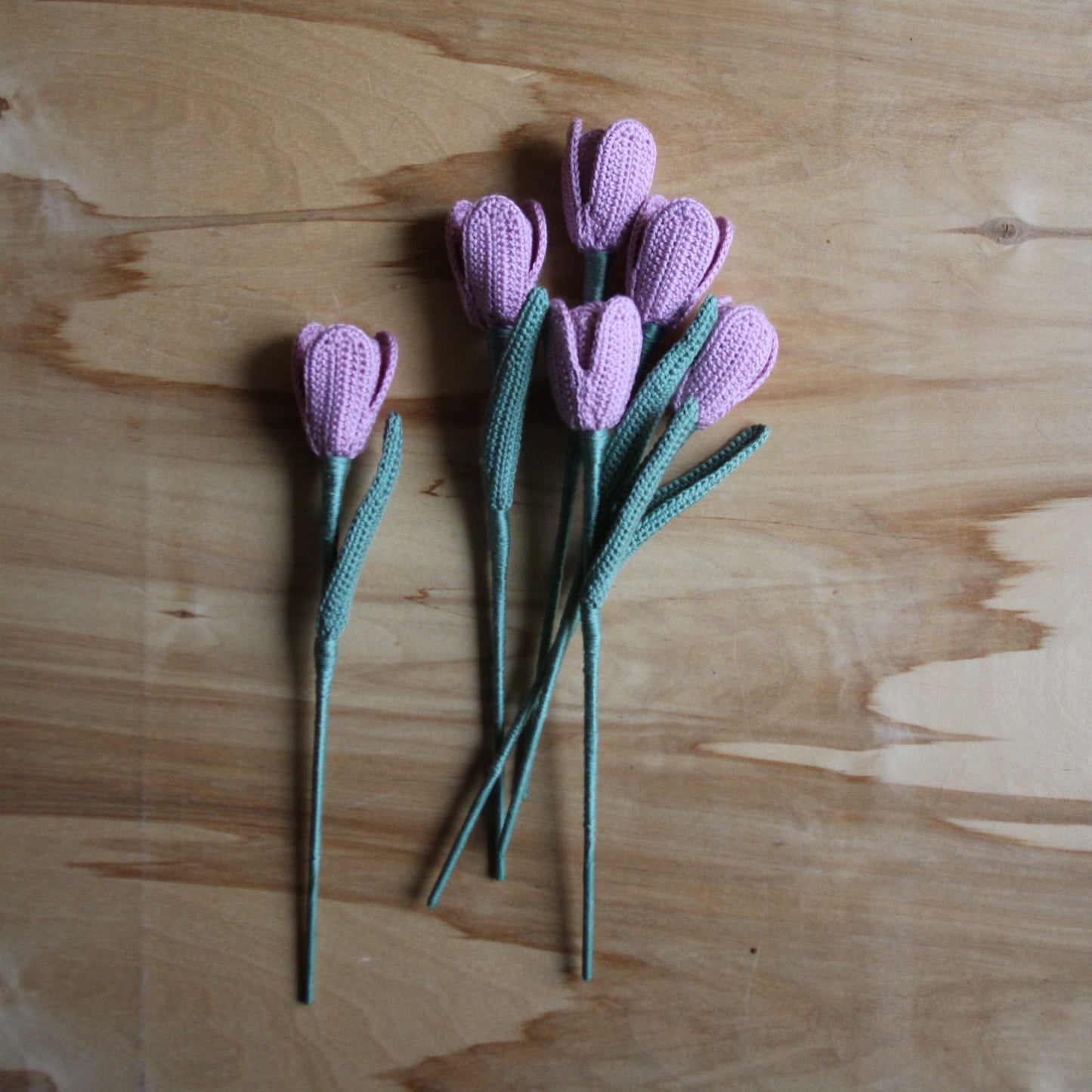 Tamborēta tulpe  (INBA 21)