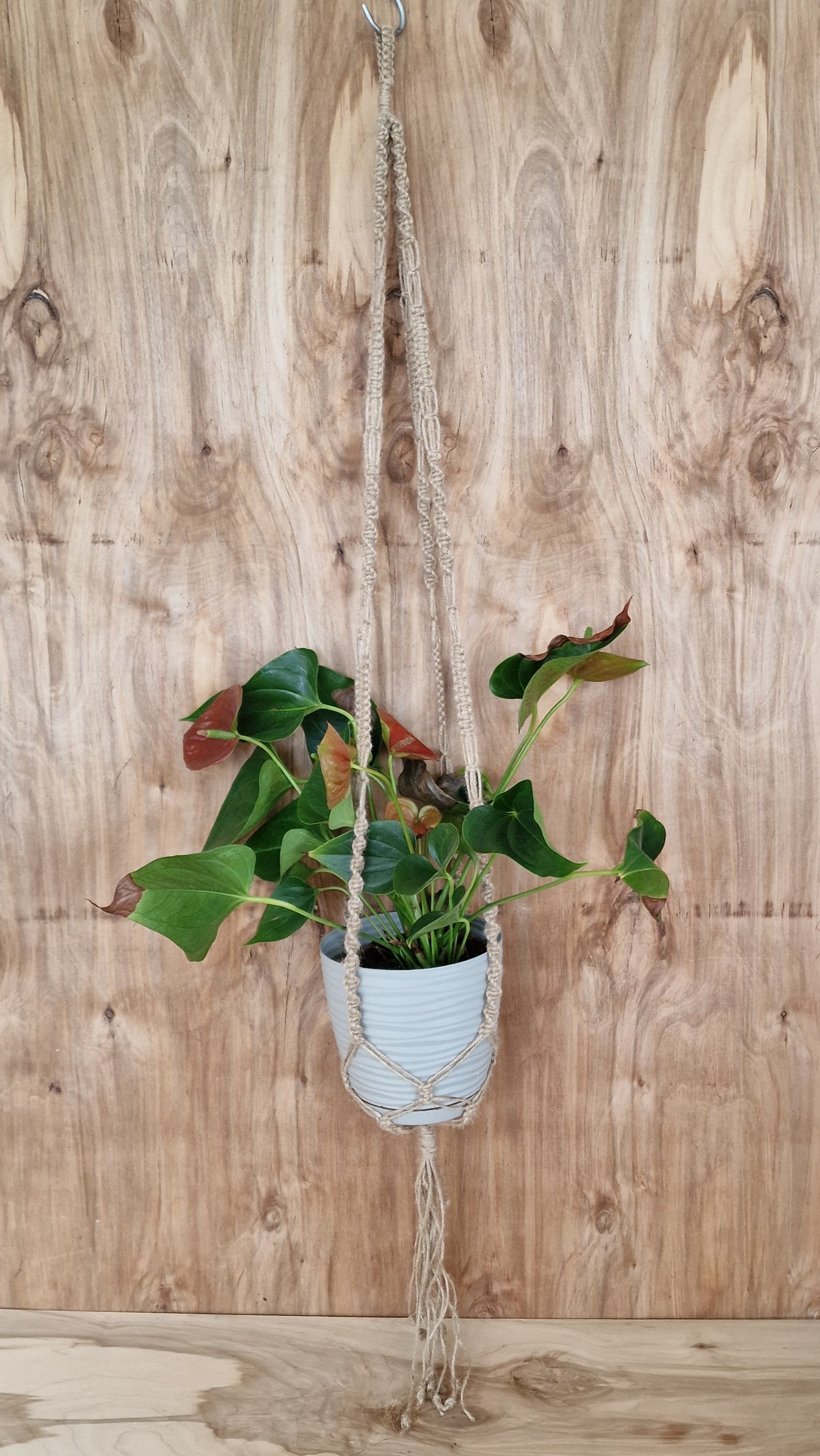 Makramē puķu / augu poda turētājs brūnipelēks (ANBL 19) - www.tiptip.lv 