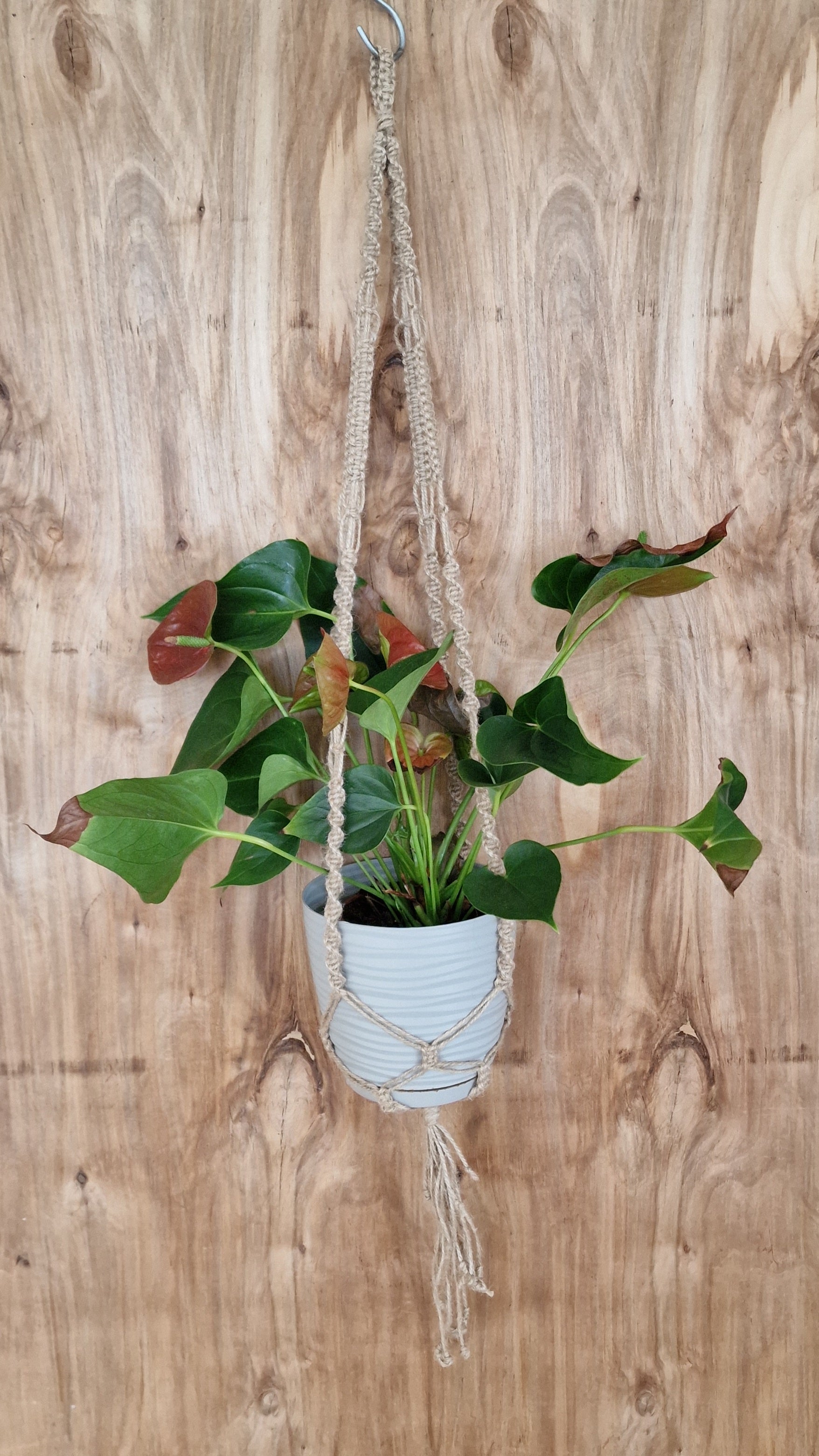 Makramē puķu / augu poda turētājs brūnipelēks (ANBL 21) - www.tiptip.lv 