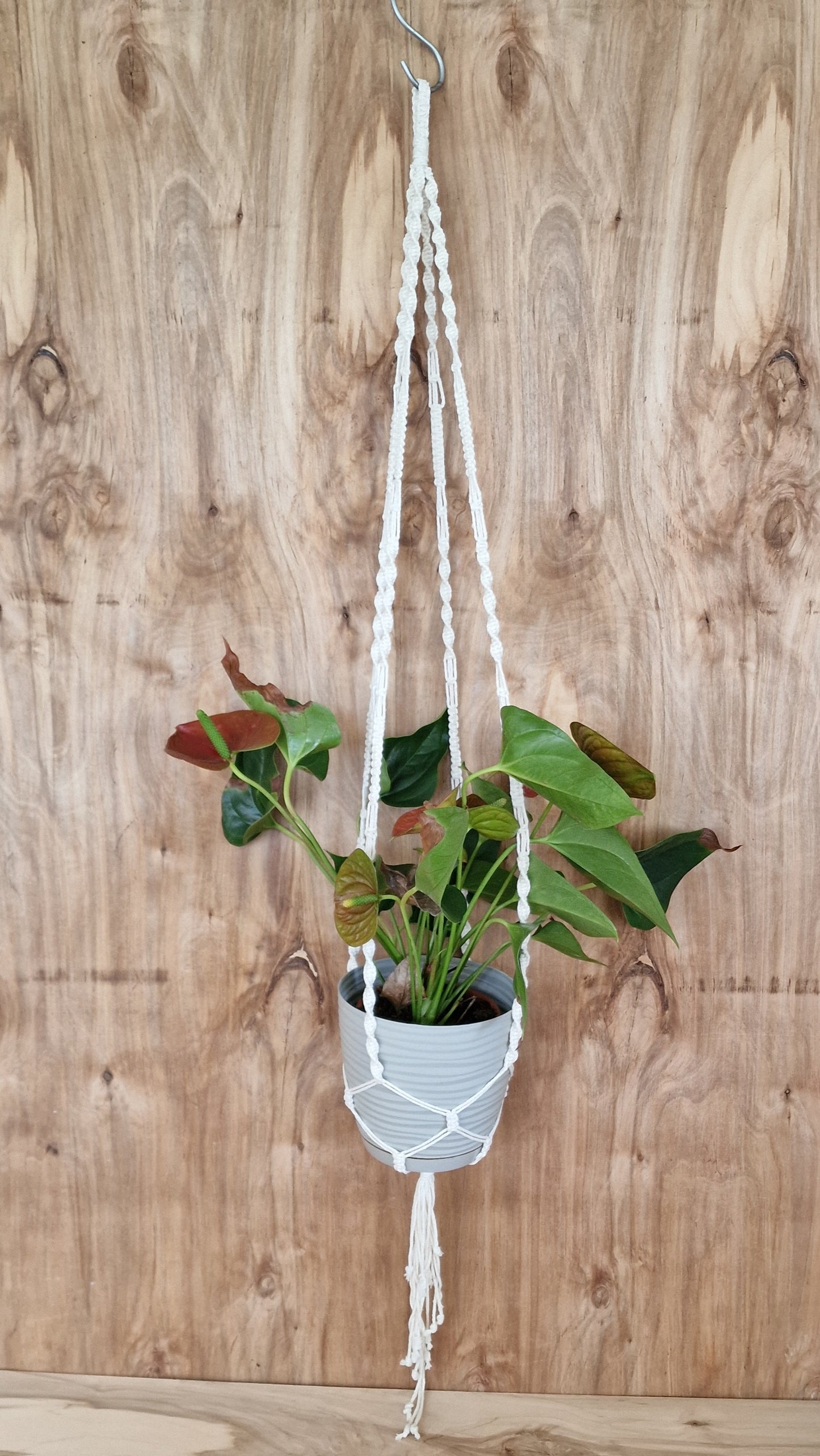 Makramē puķu / augu poda turētājs d.balts (ANBL 17) - www.tiptip.lv 