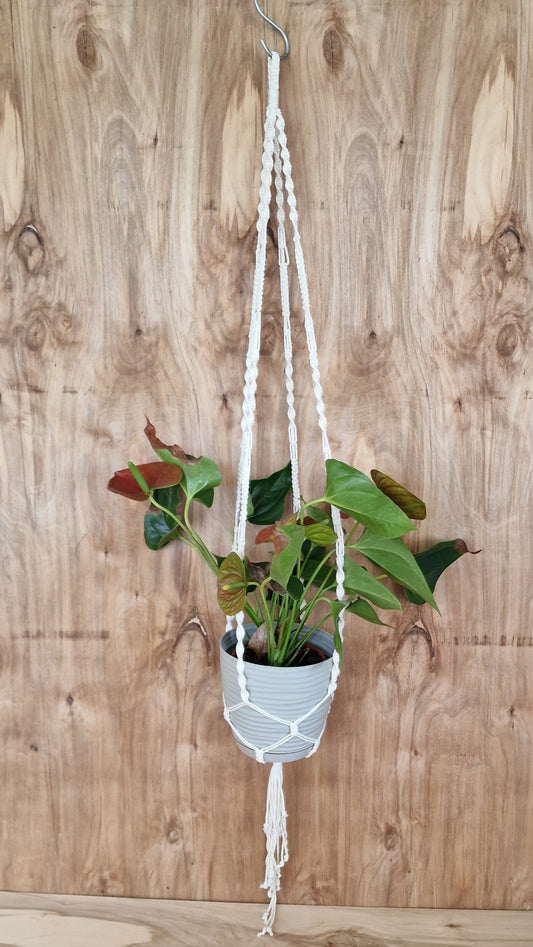 Makramē puķu / augu poda turētājs d.balts (ANBL 17) - www.tiptip.lv 