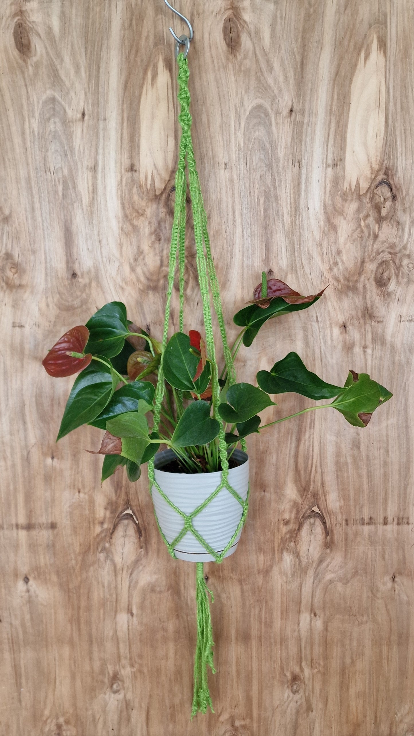 Makramē puķu / augu poda turētājs zaļš (ANBL 18) - www.tiptip.lv 