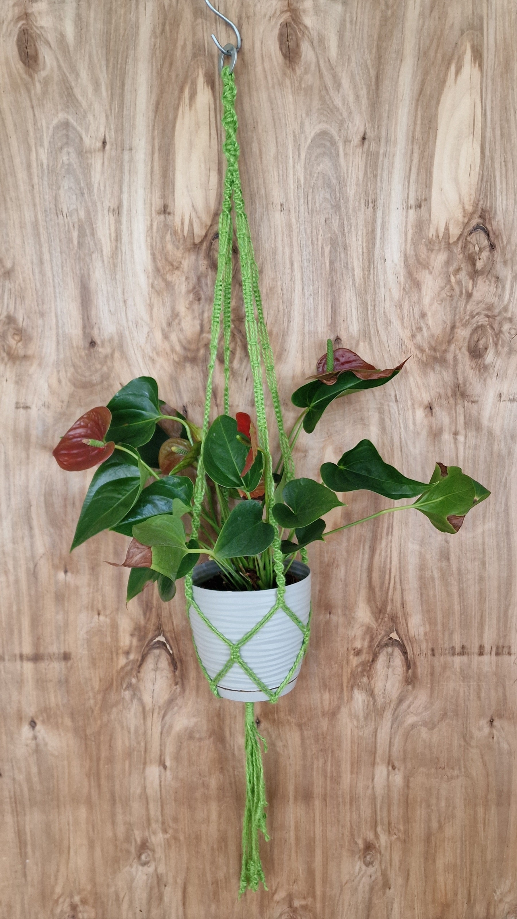 Makramē puķu / augu poda turētājs zaļš (ANBL 18) - www.tiptip.lv 