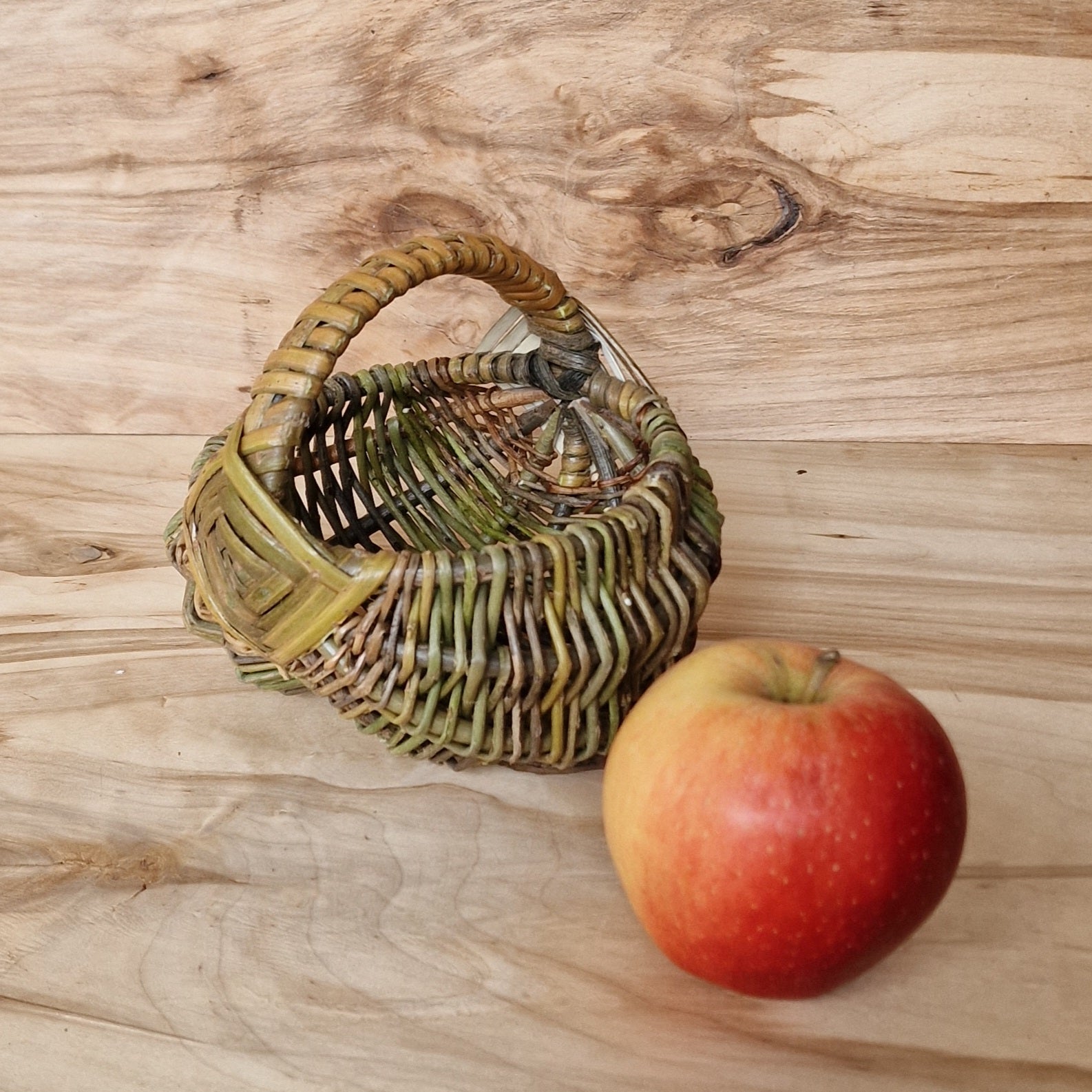 Mazs nemizotu klūgu groziņš (SALA 152) - www.tiptip.lv 