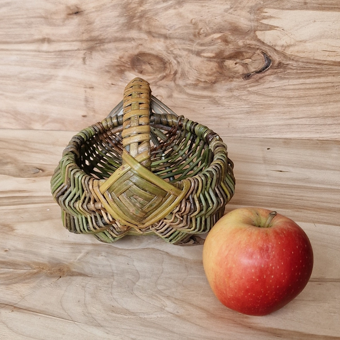 Mazs nemizotu klūgu groziņš (SALA 152) - www.tiptip.lv 