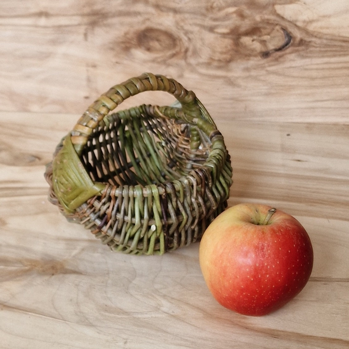 Mazs nemizotu klūgu groziņš (SALA 154) - www.tiptip.lv 