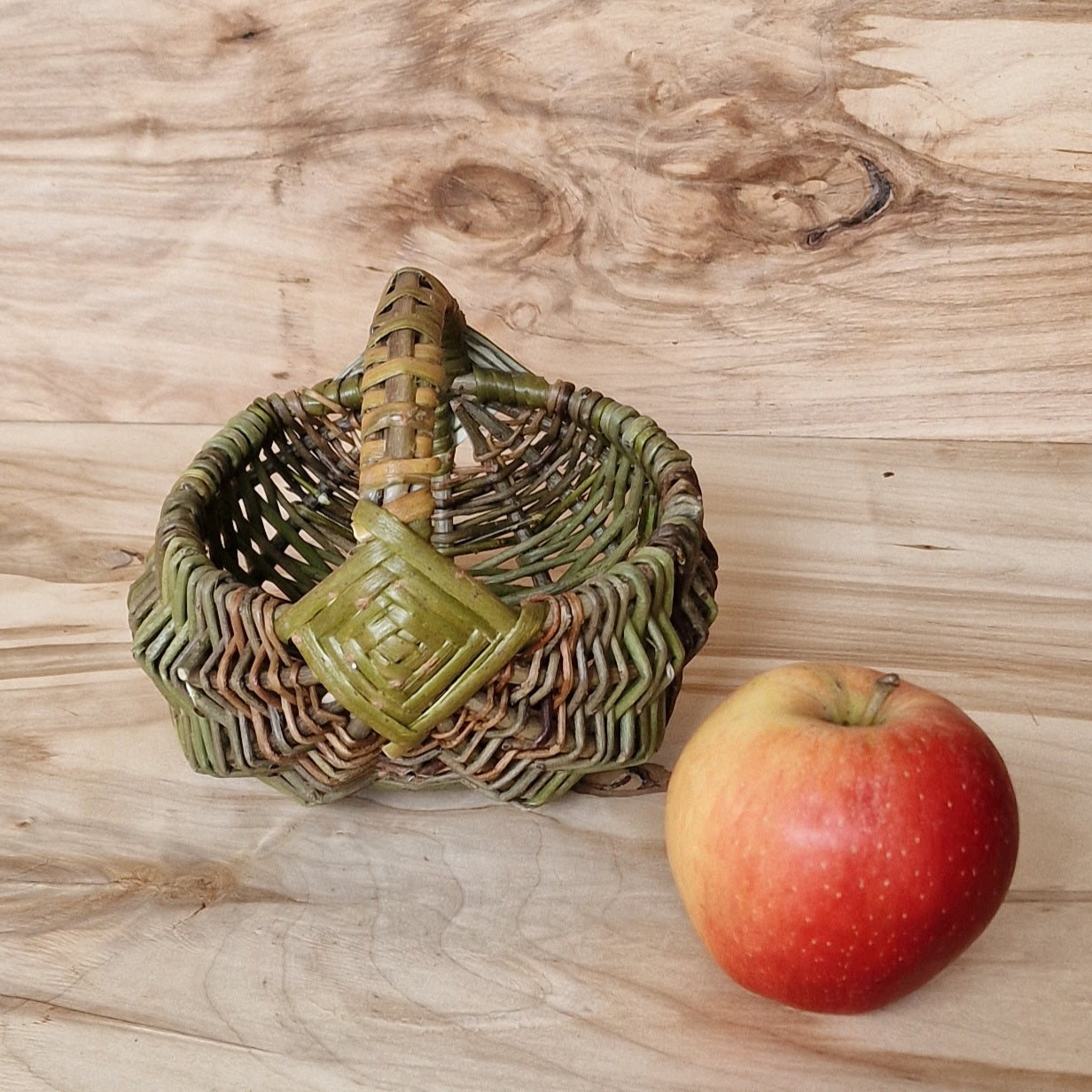 Mazs nemizotu klūgu groziņš (SALA 154) - www.tiptip.lv 