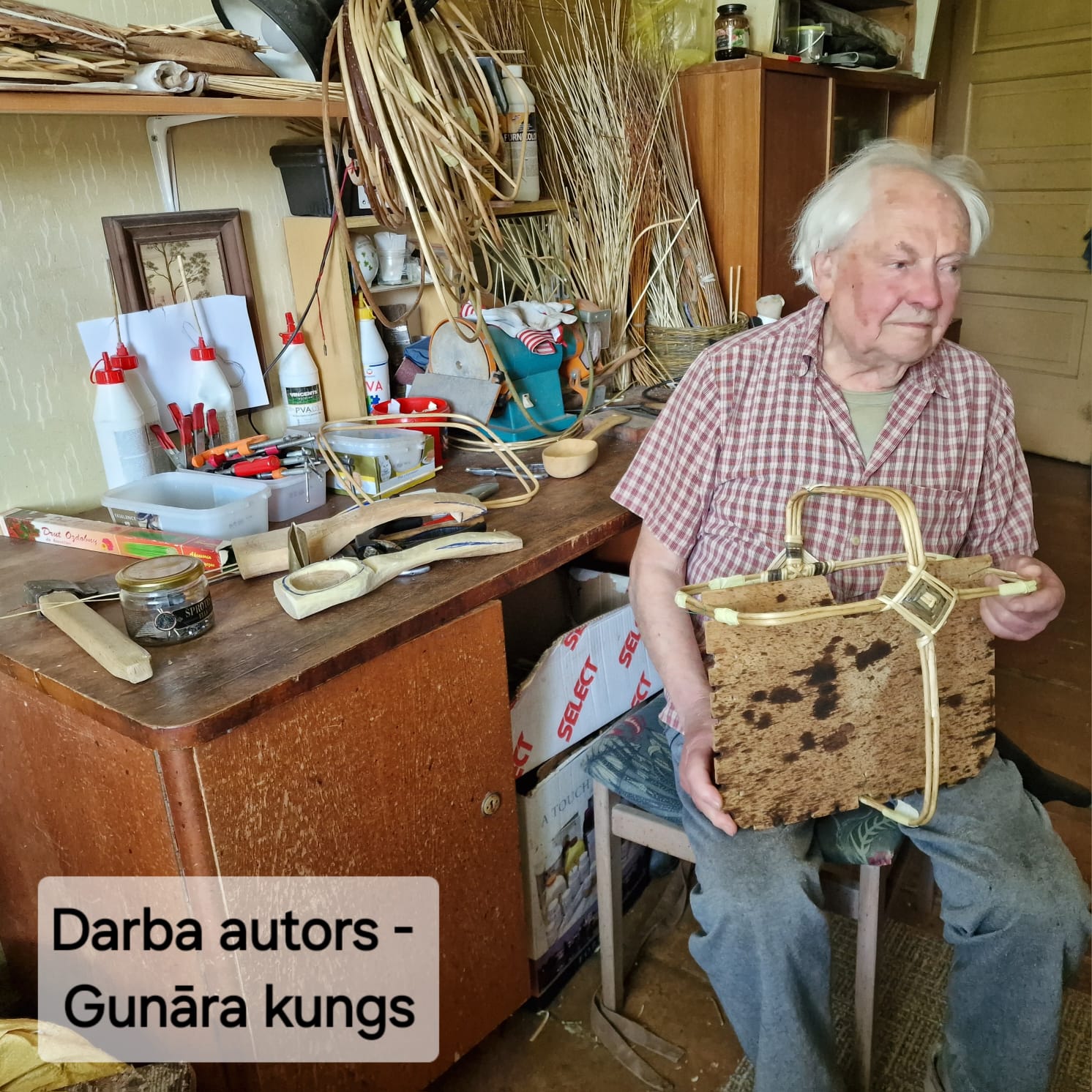 Sienas klūgu grozs (GUVĪ 25) - www.tiptip.lv 