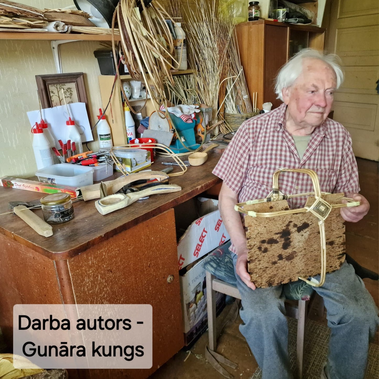 Sienas klūgu grozs (GUVĪ 26) - www.tiptip.lv 